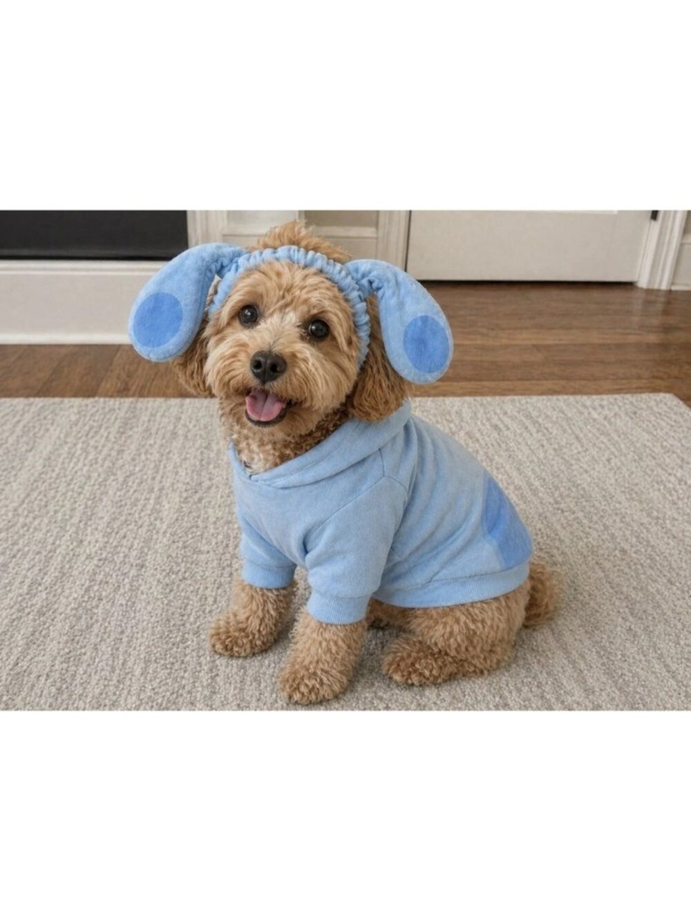 Barkbox Blues Clues Sweatshirt With Ears XS/Small
